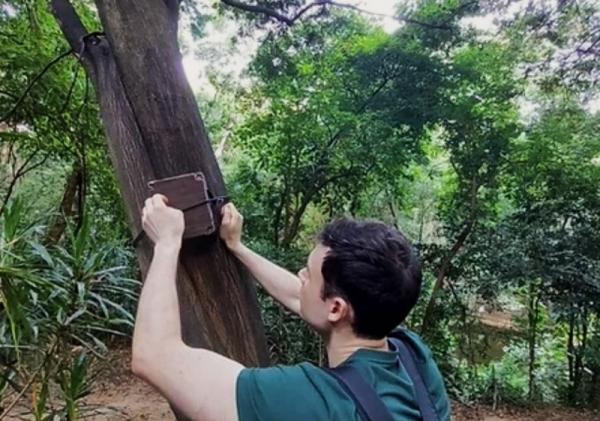 Projeto Orquestra da Natureza reúne sons captados no Parque do Matão